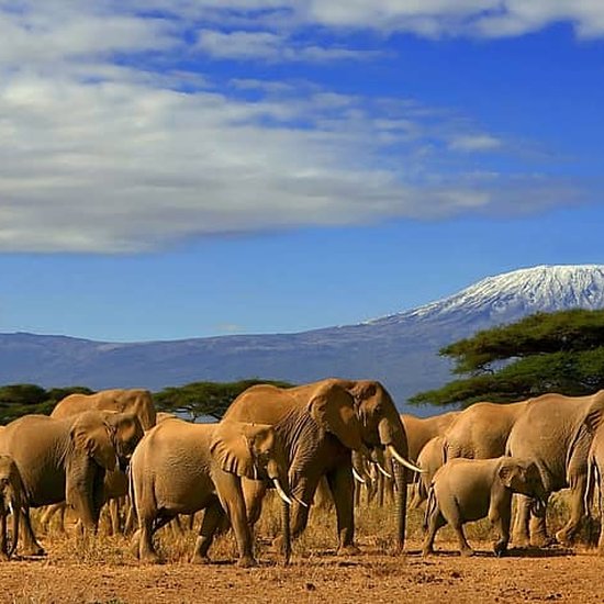 3-Day Safari Package