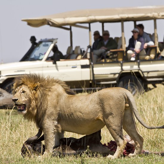 9-Day Wildebeest Migration Safari